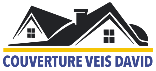 VEIS David Couvreur 77